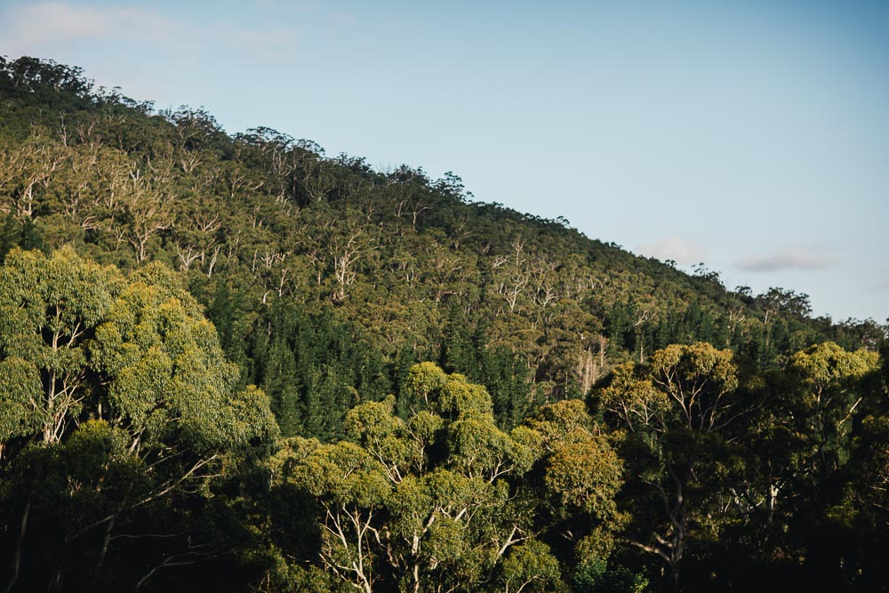 Mount Macedon wedding photographer-102.jpg