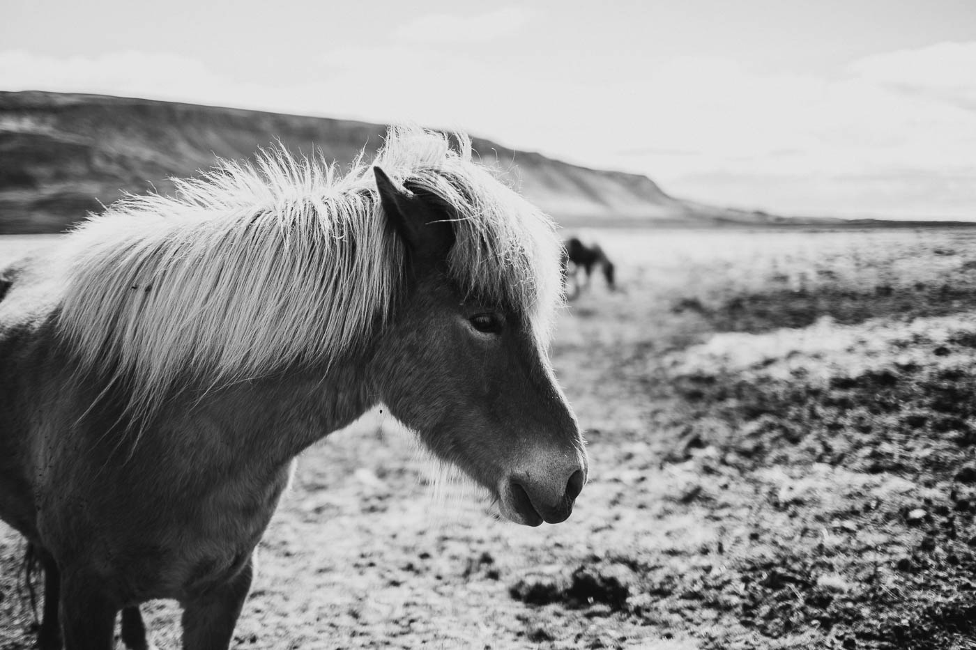 Iceland wedding photographer-69.jpg