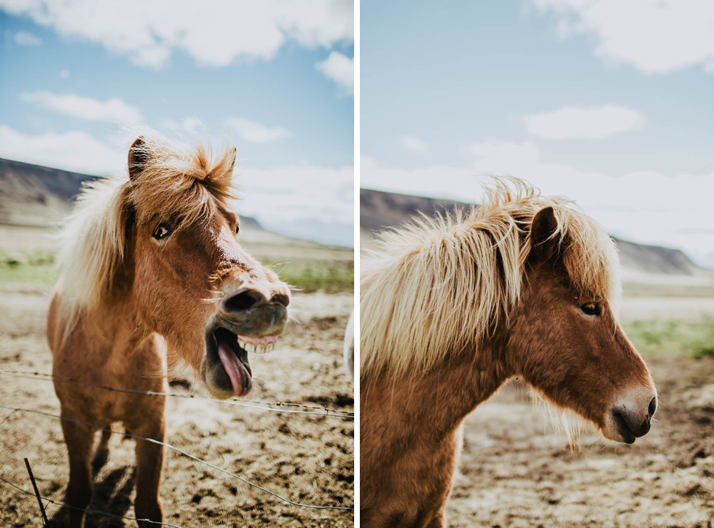 Iceland wedding photographer-vert3.jpg