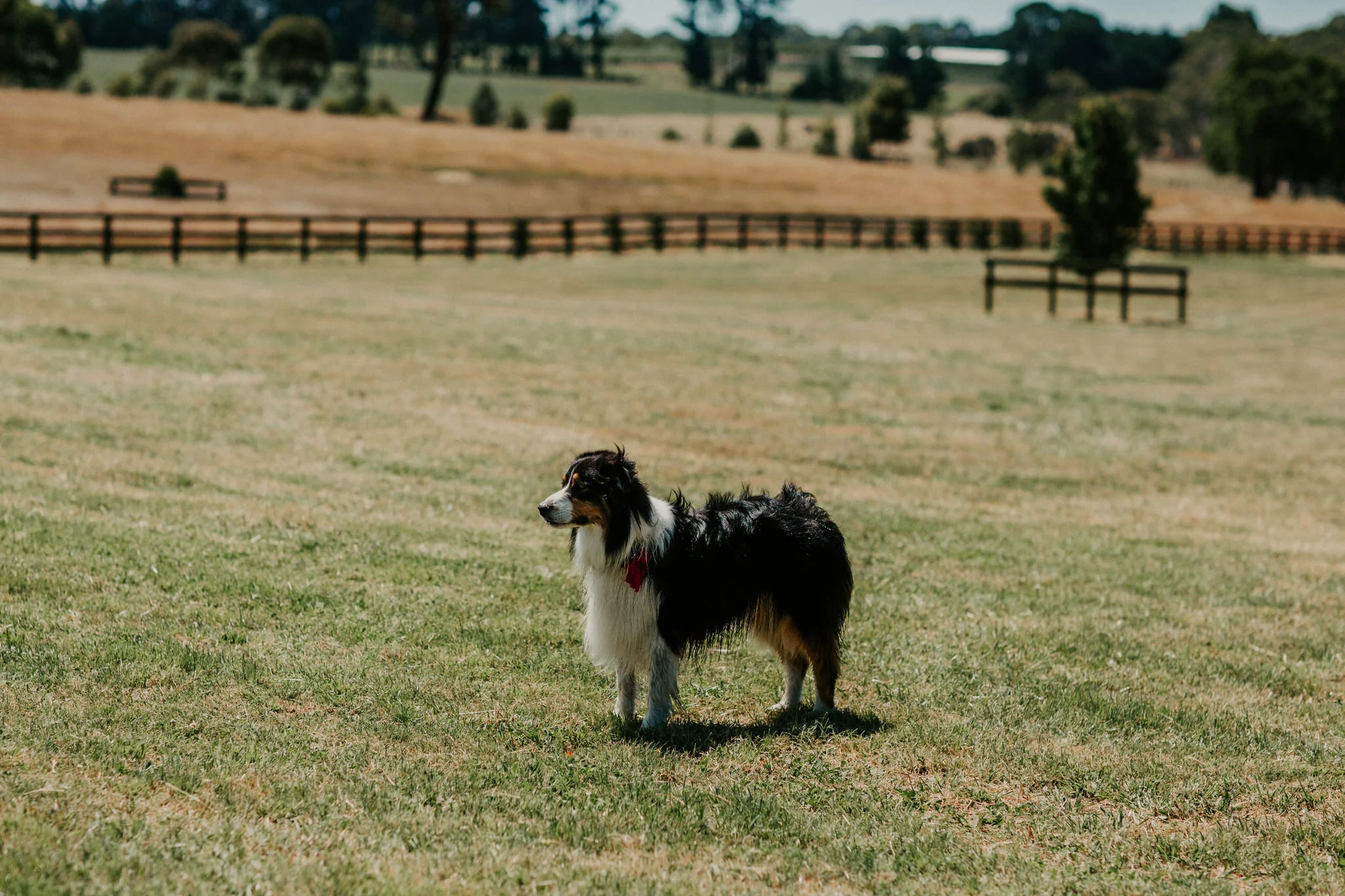 Mornington Peninsula Wedding Leonie & matt-61.jpg