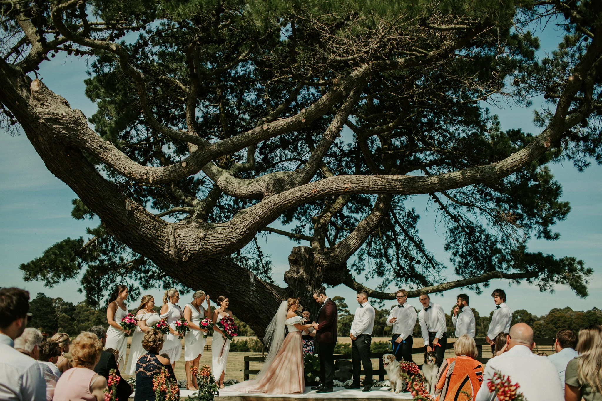 Mornington Peninsula Wedding Leonie & matt-217.jpg