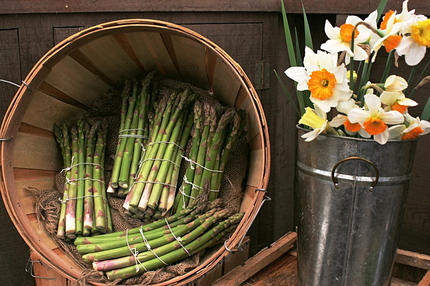 Alomst Famous Chef 192.JPG