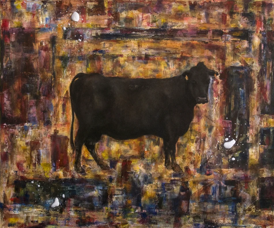 Marked Angus
