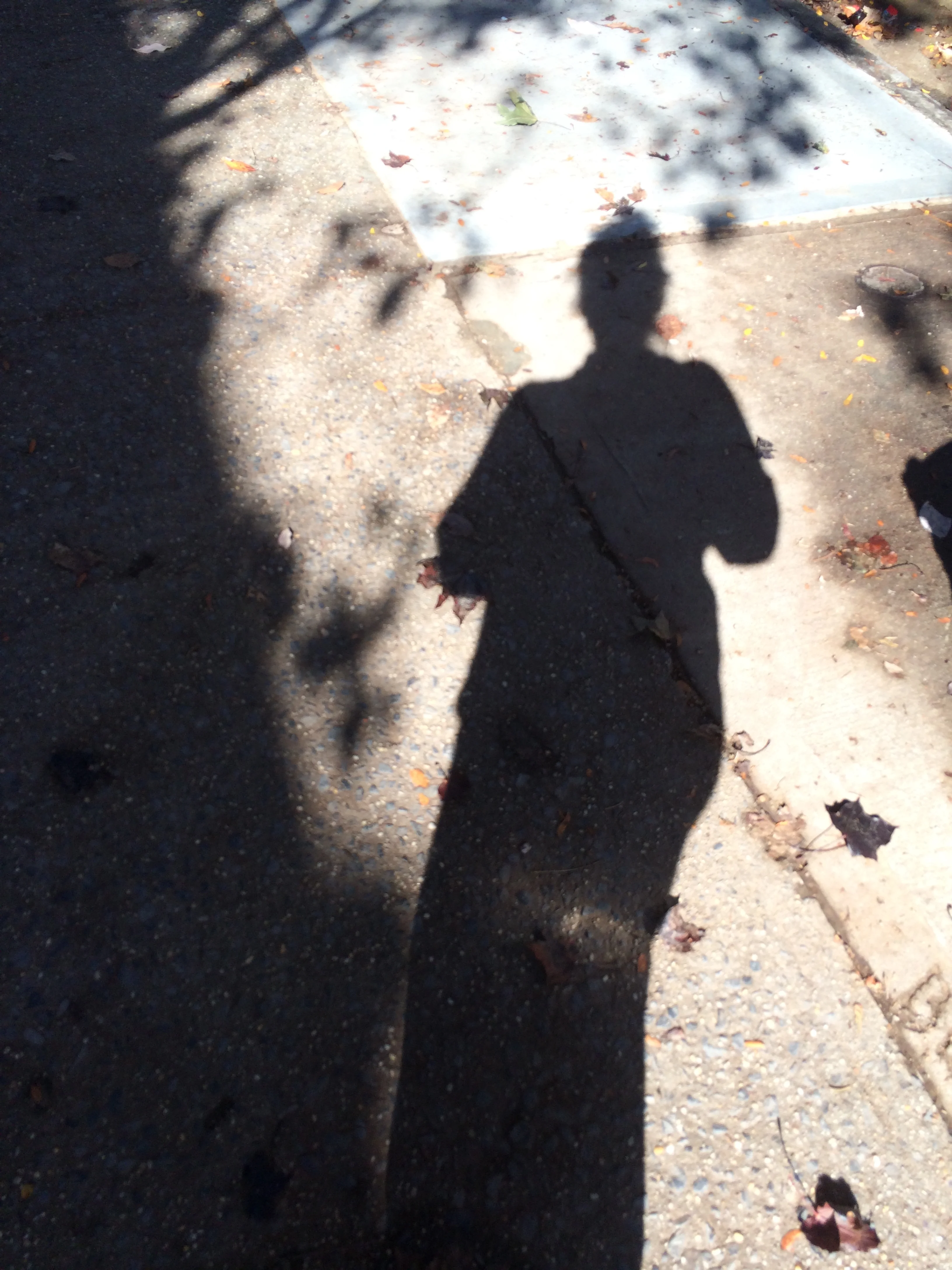 SHADOW (its so hot right now)