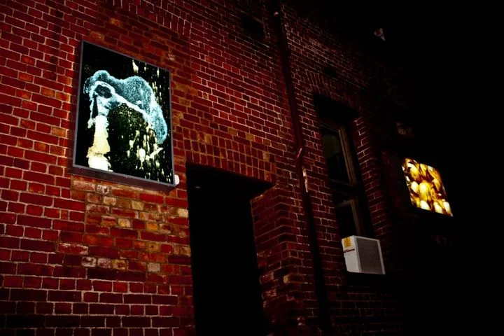 Lightscape Projects.jpg