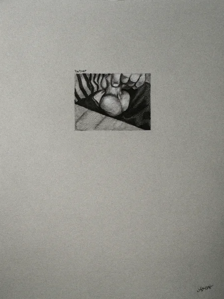 NOCR_plums.jpg