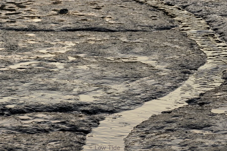 Low Tide