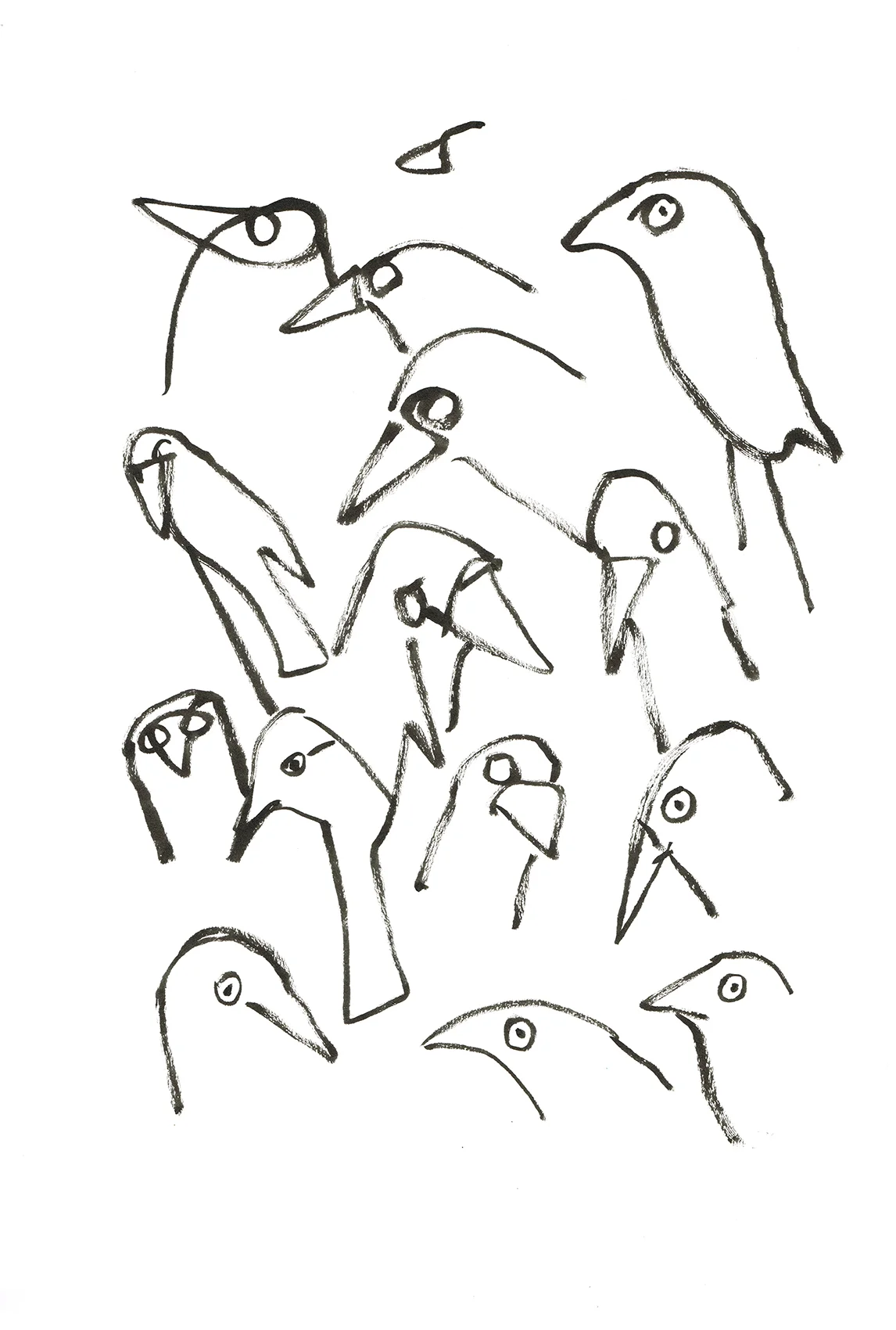 20 seconds of Jackdaws