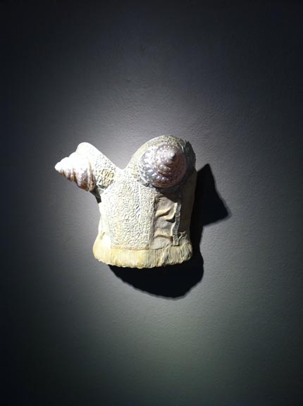 Laura Ann Jacobs, Conch-ious She Sell