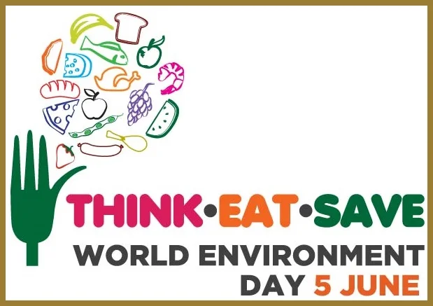 Augustinians Support World UN Environment Day, June 5, 2013