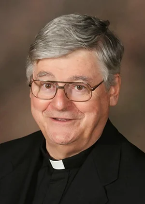 Rev. R. William Sullivan, O.S.A., Vice-Chair