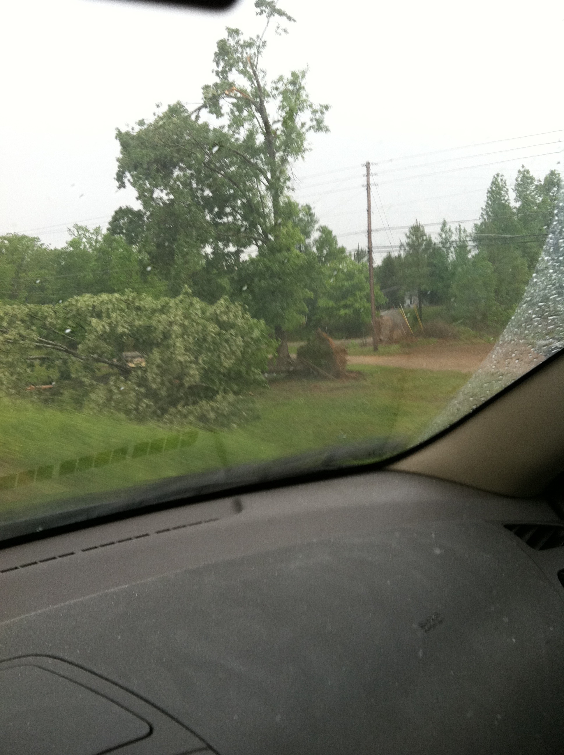 A few of the downed trees in Ohatchee