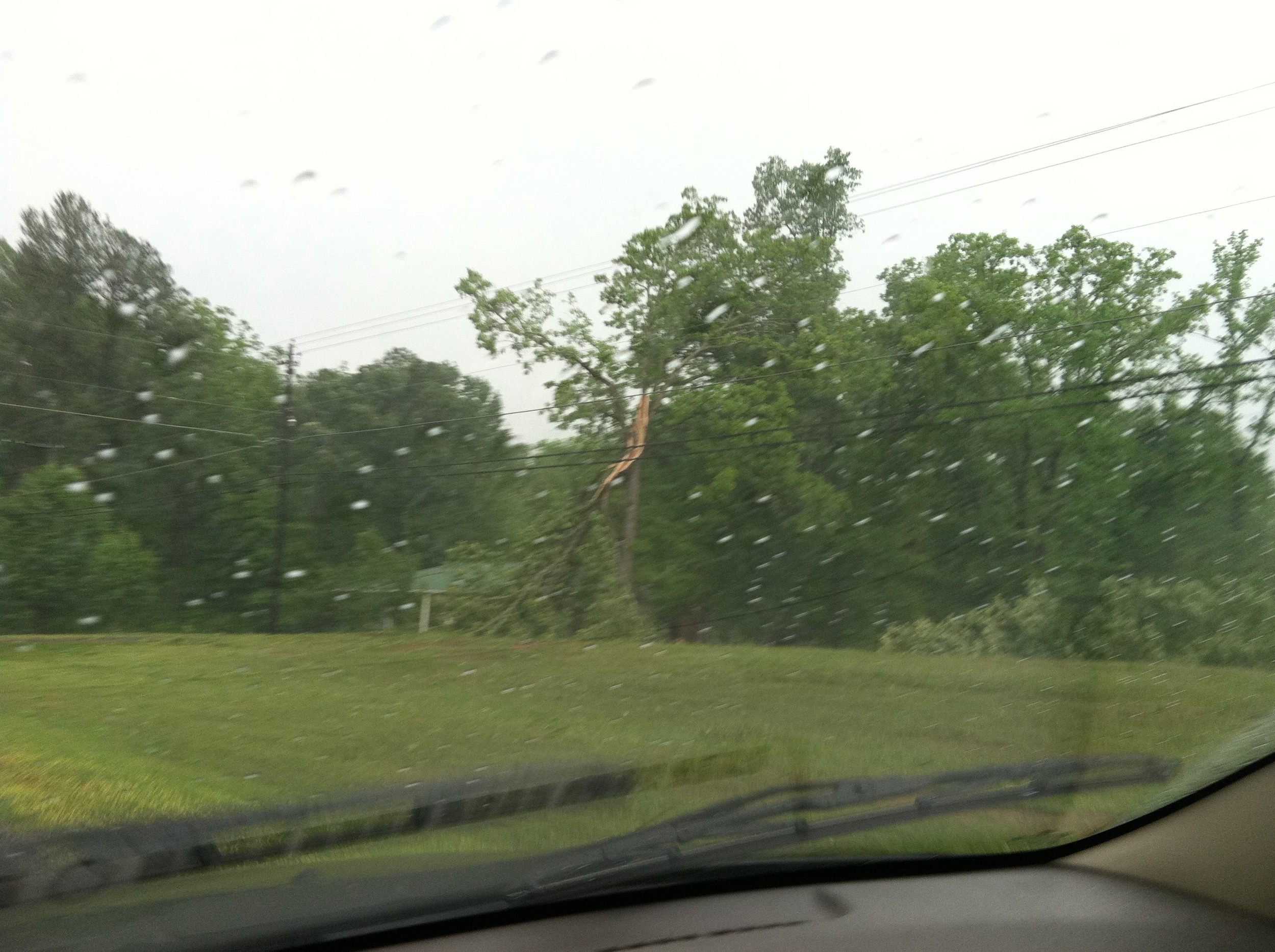 A few of the downed trees in Ohatchee