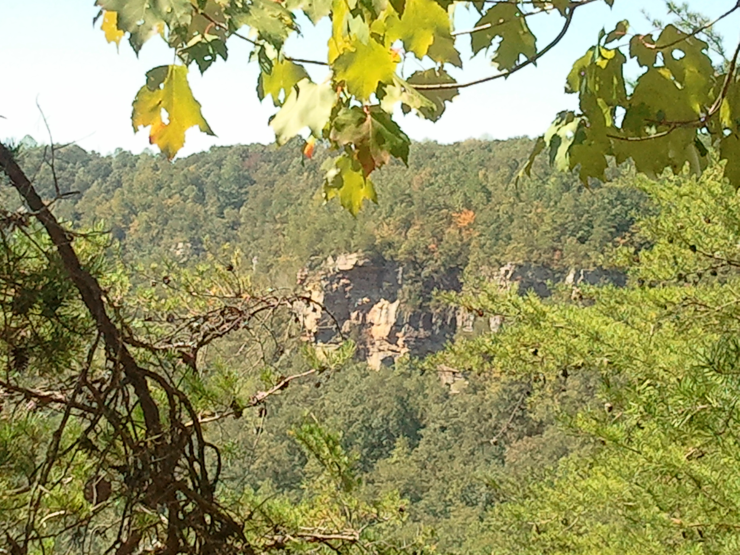 Pictures from yesterday's trek to Little River Canyon