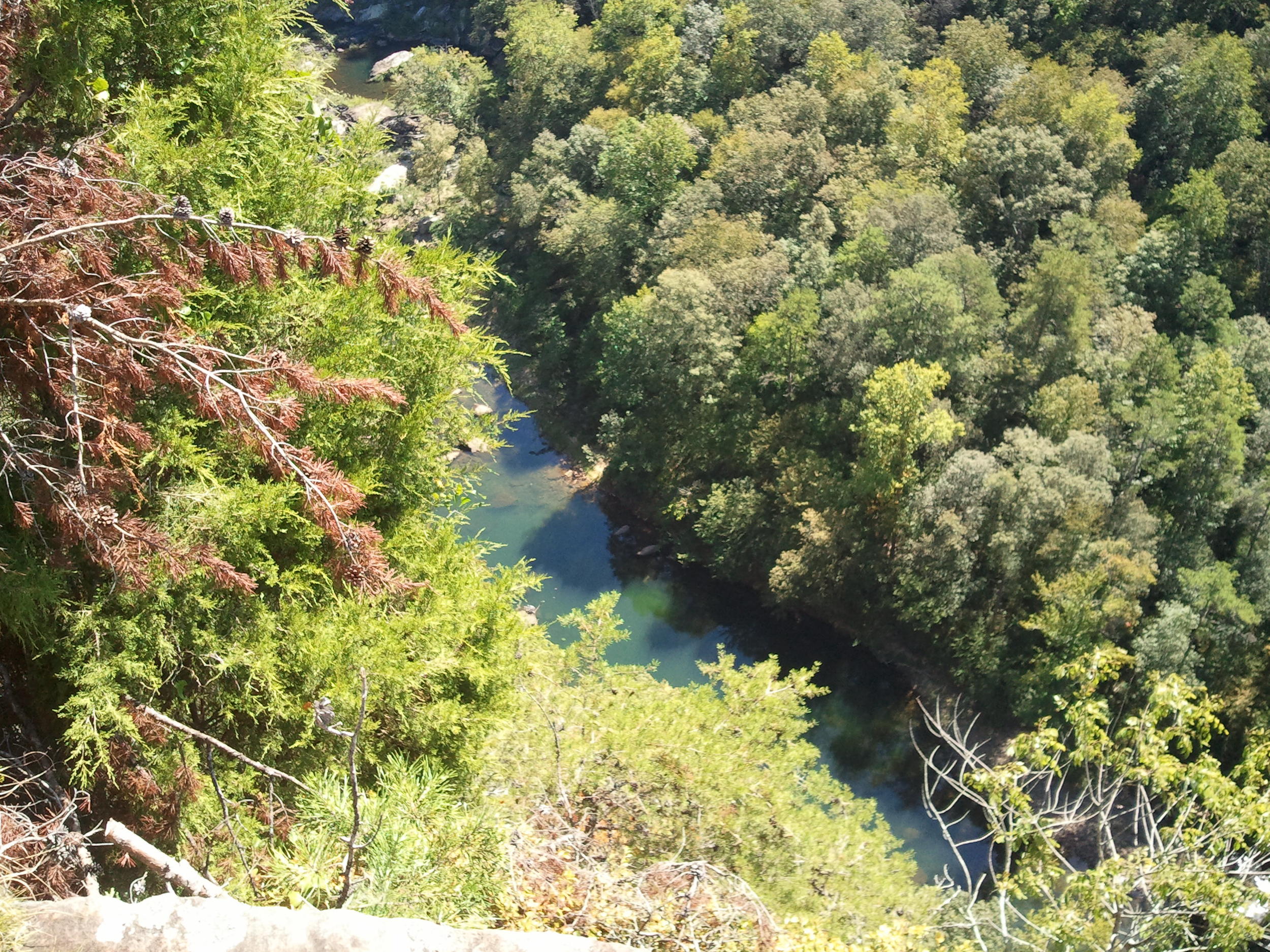 Pictures from yesterday's trek to Little River Canyon