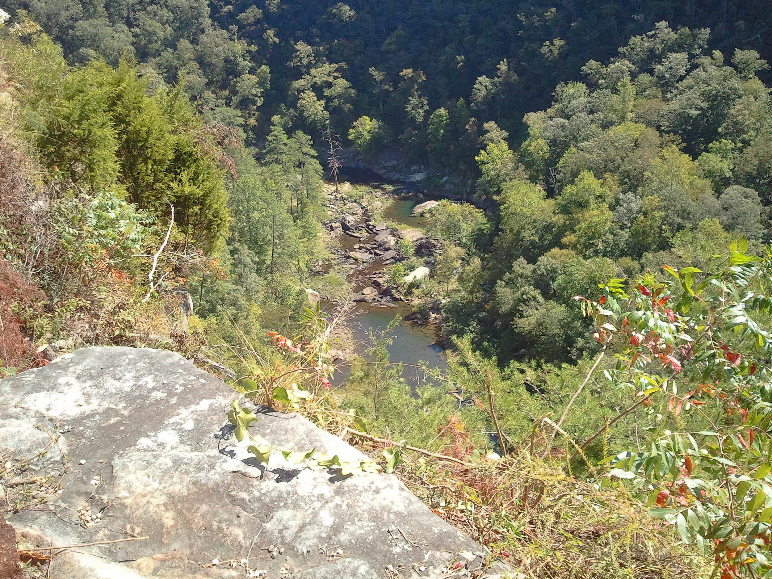 Pictures from yesterday's trek to Little River Canyon