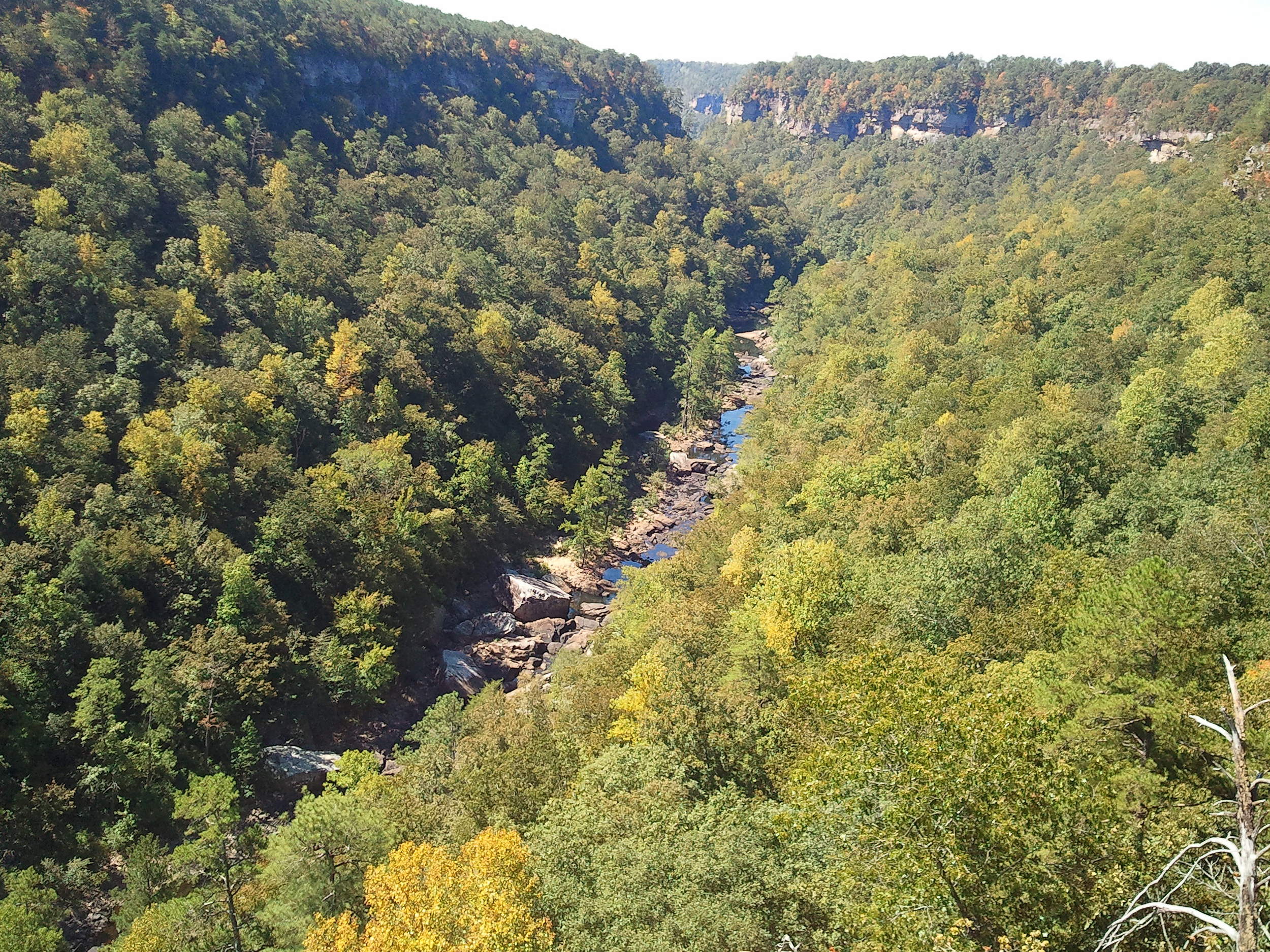 Pictures from yesterday's trek to Little River Canyon