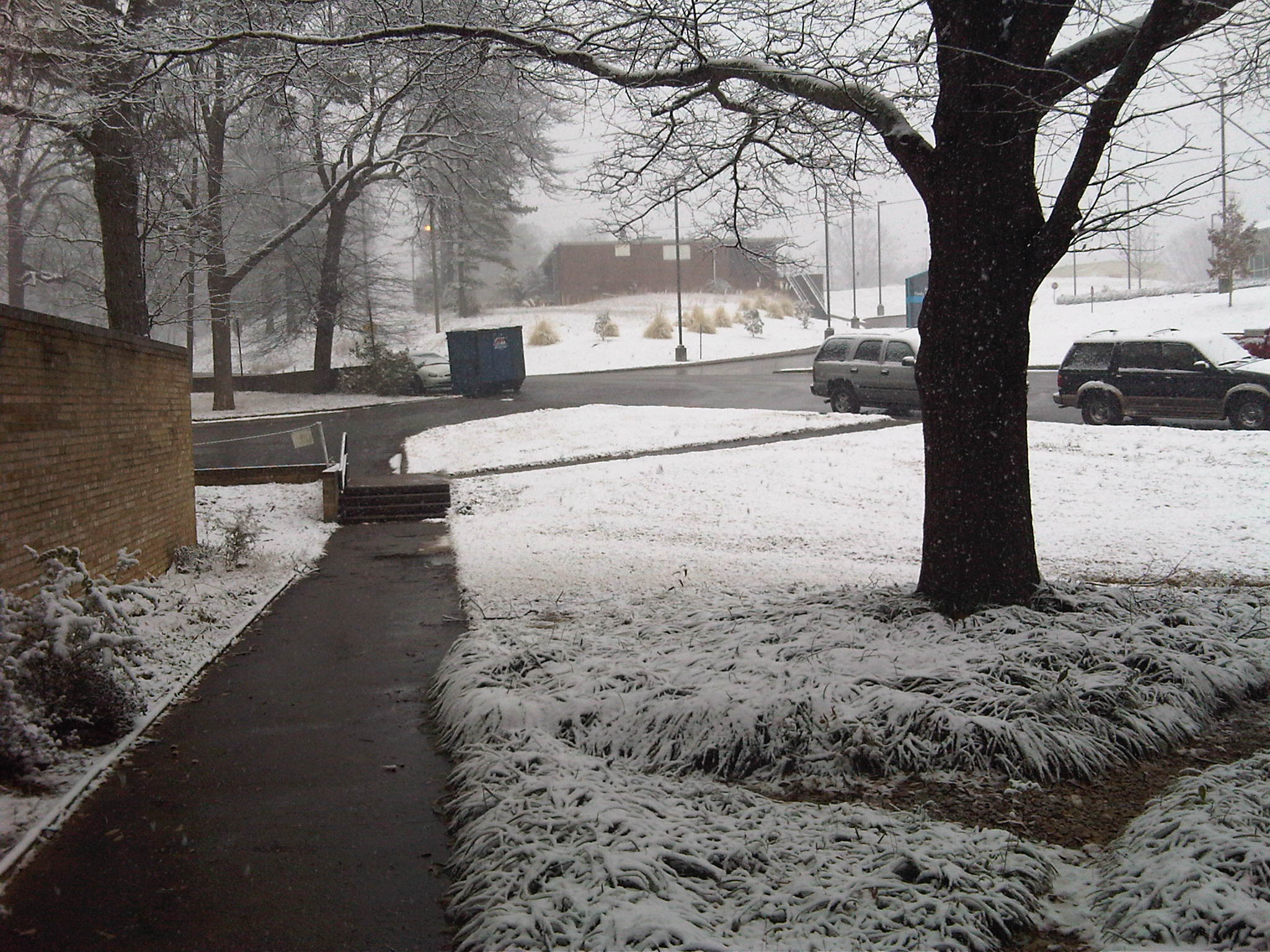 Snow in Anniston, AL on Feb. 12 2010