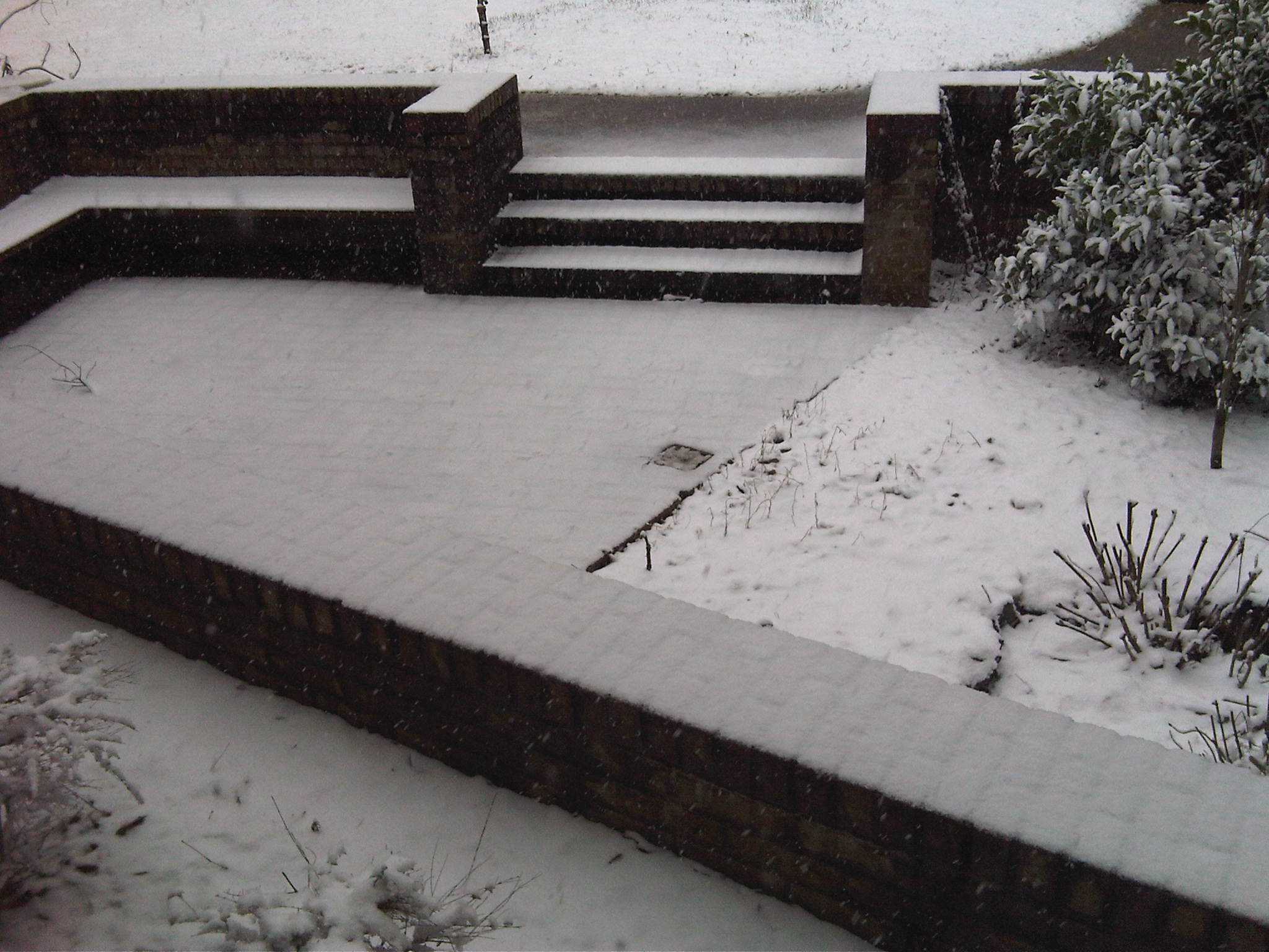 Snow in Anniston, AL on Feb. 12 2010