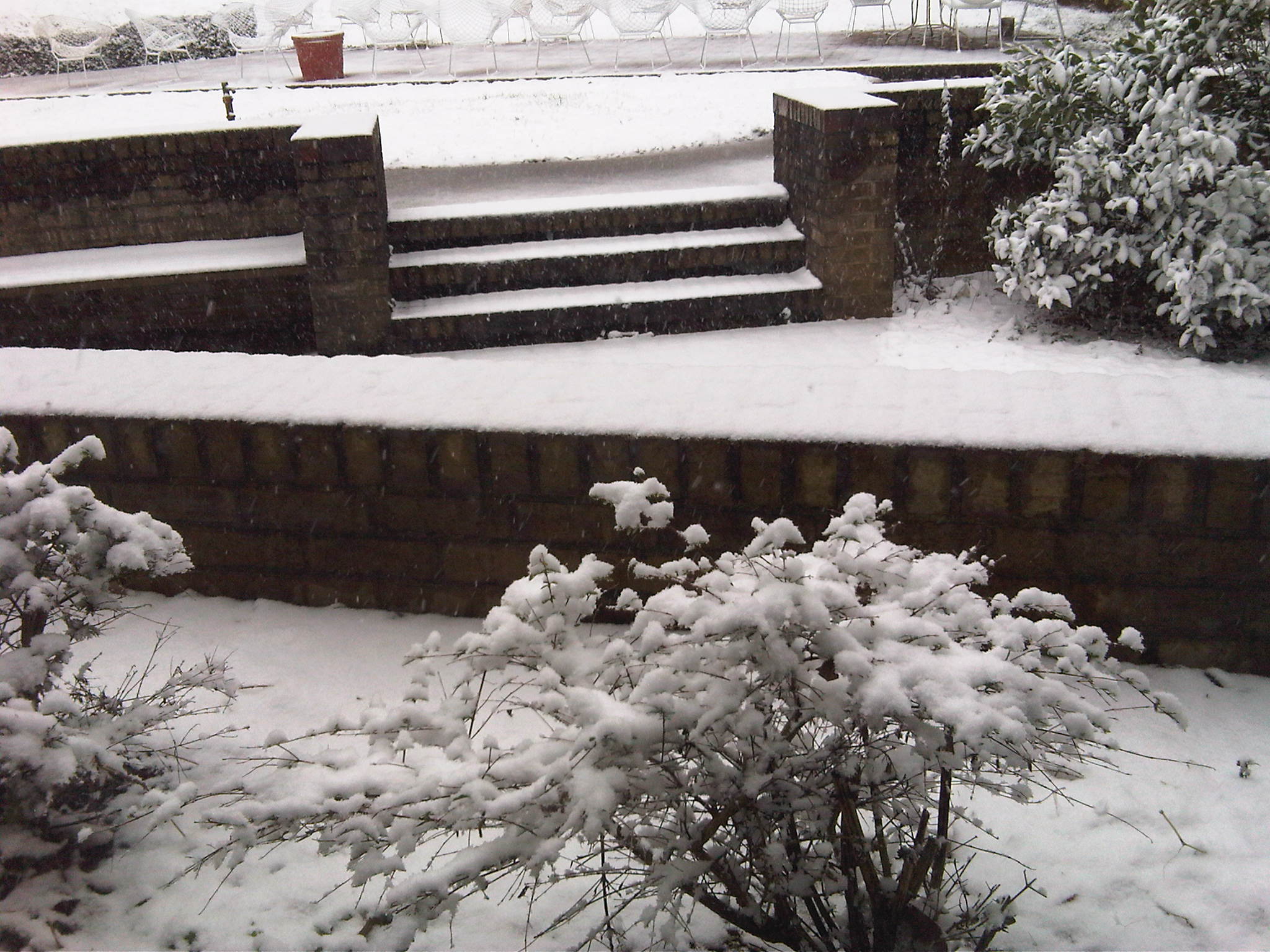 Snow in Anniston, AL on Feb. 12 2010
