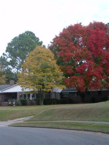 Fall 2005