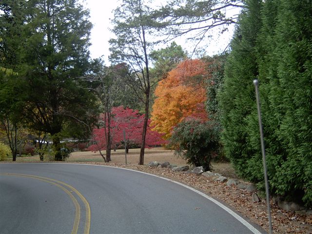 Fall 2005