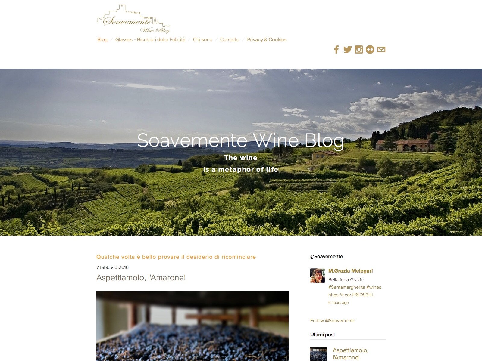 Soavemente.net, wine blog