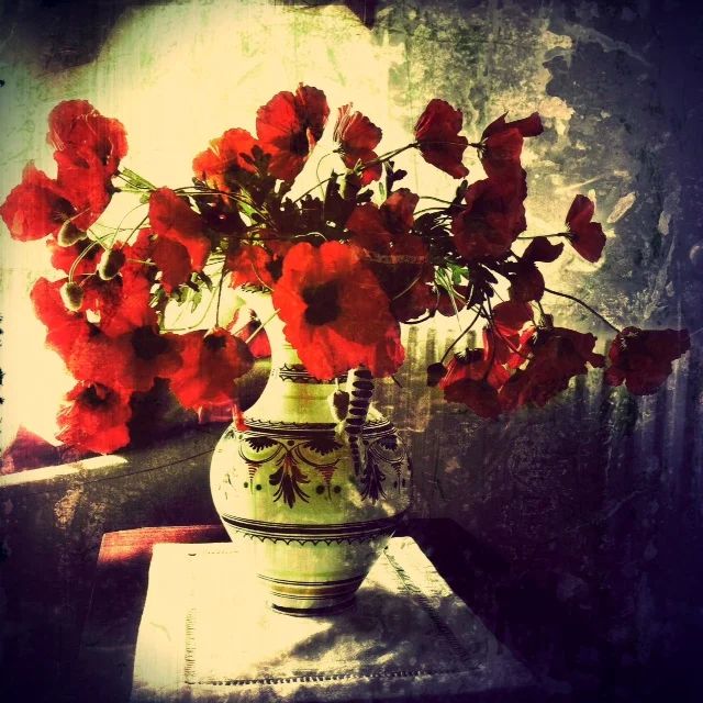 Poppies