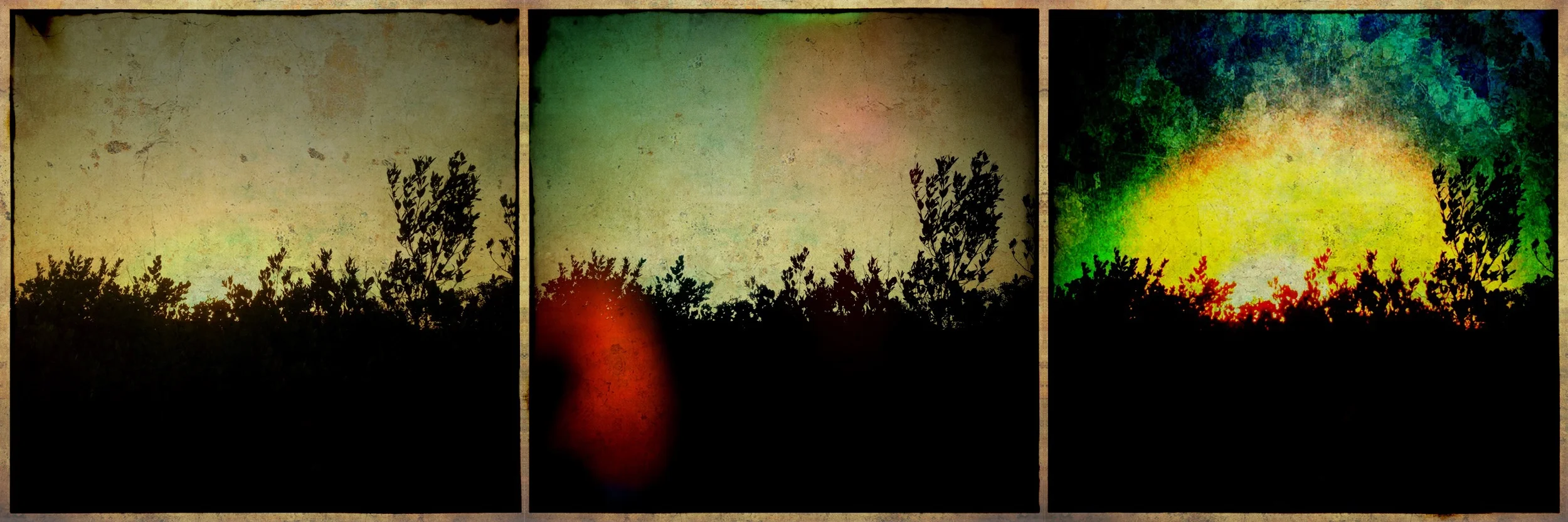Clam Bayou Evening