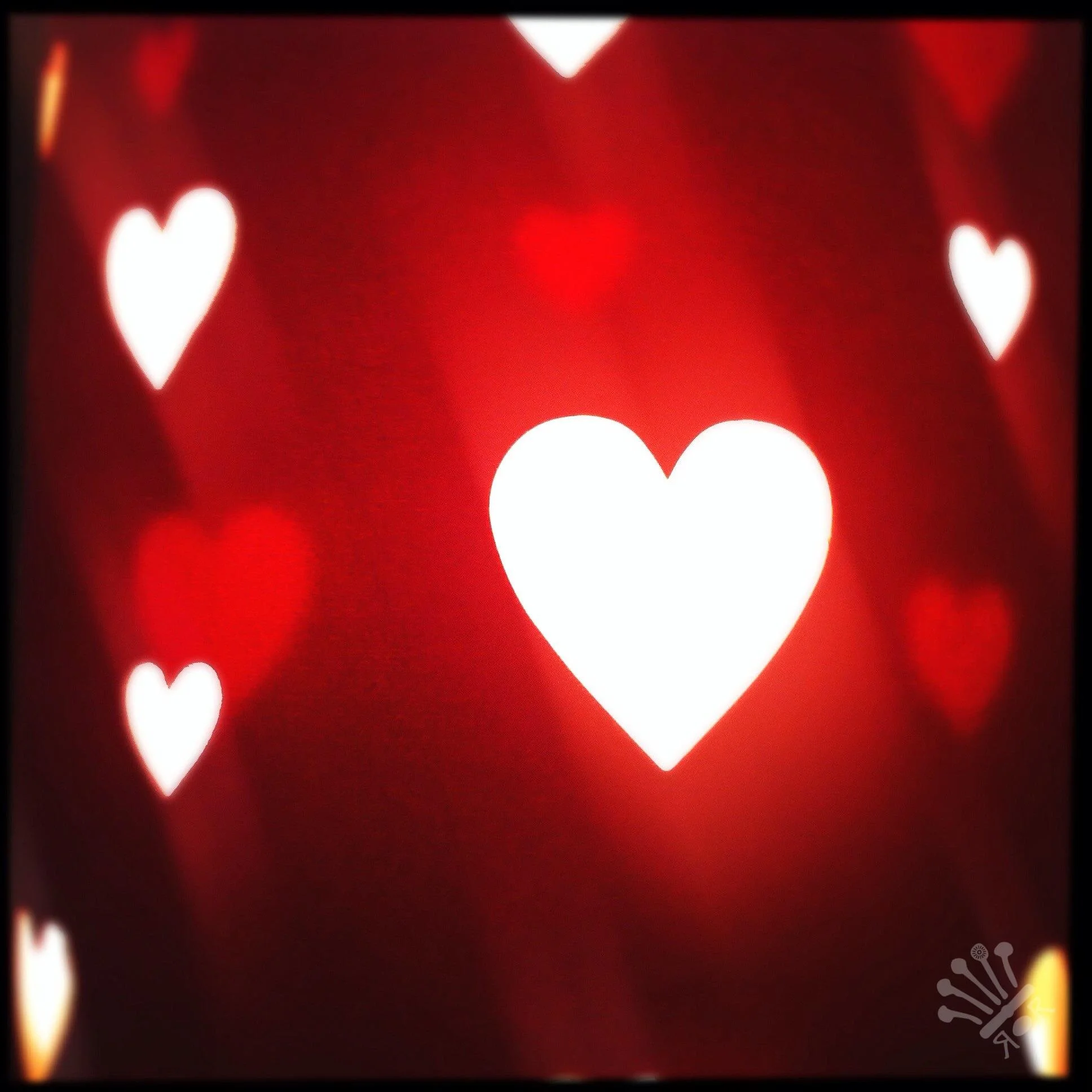 'A Love of Light'