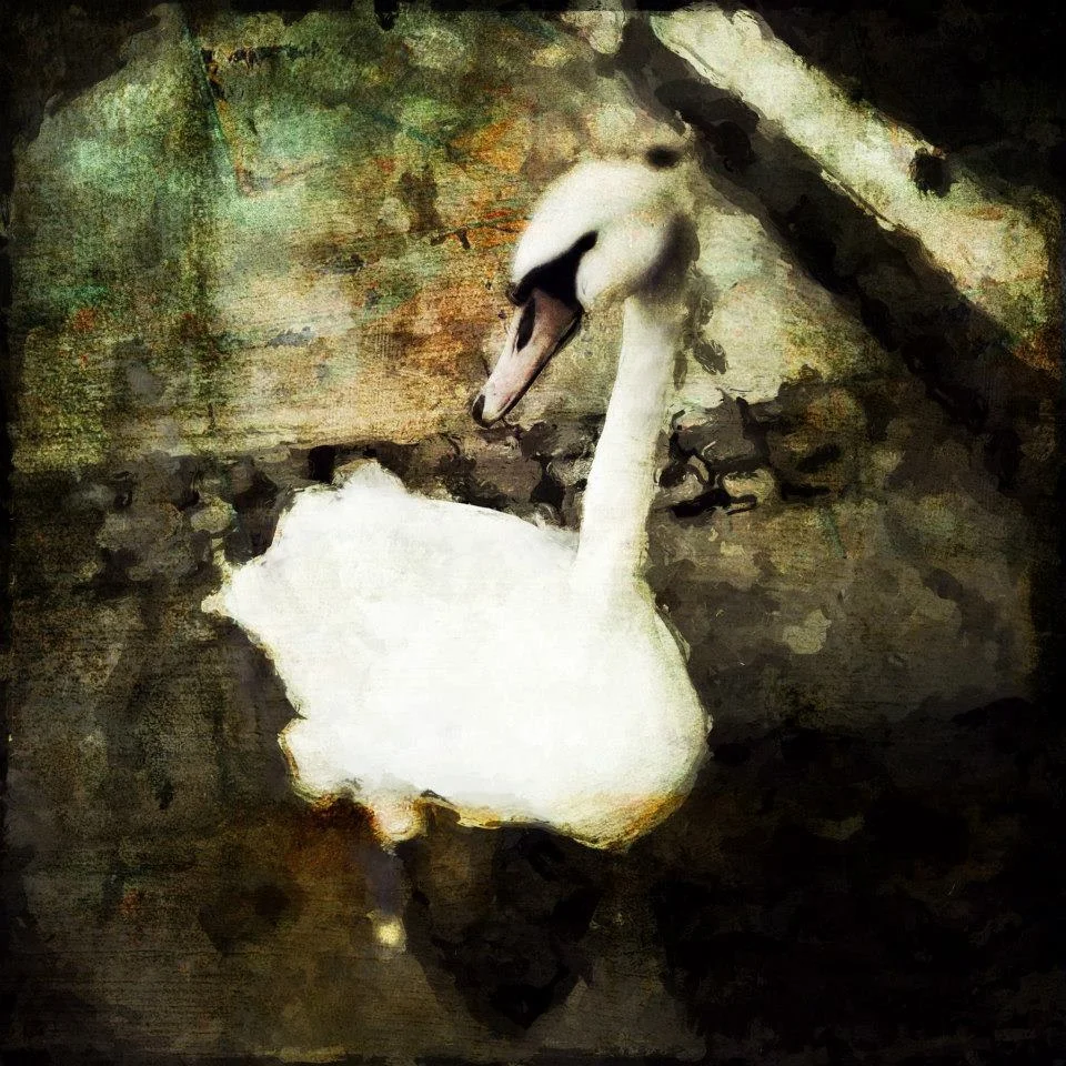 Vivi Hanson Sacerdote - NEM Founder Artist