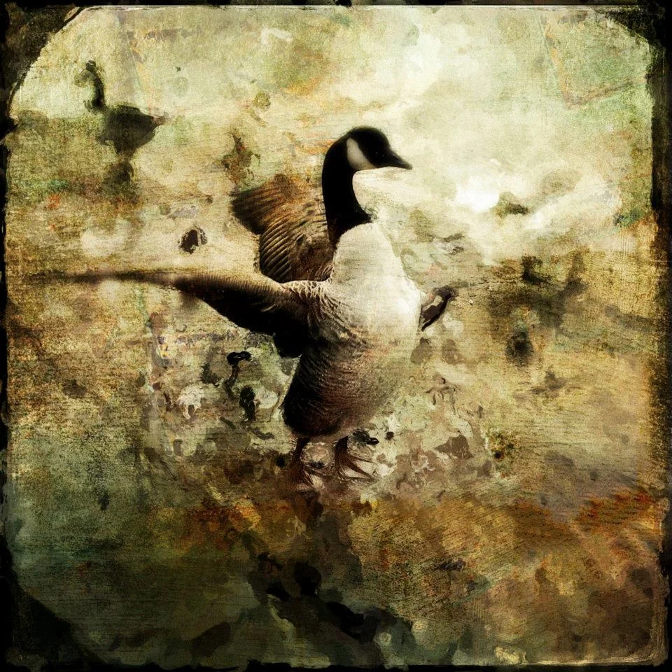 Vivi Hanson Sacerdote - NEM Founder Artist