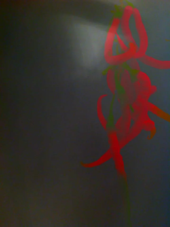 149387_4760007512062_299915800_n.jpeg