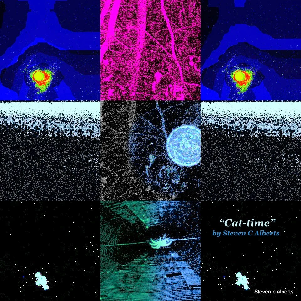 All the images in this gallery by Steven C Alberts - NEM Founder Artist