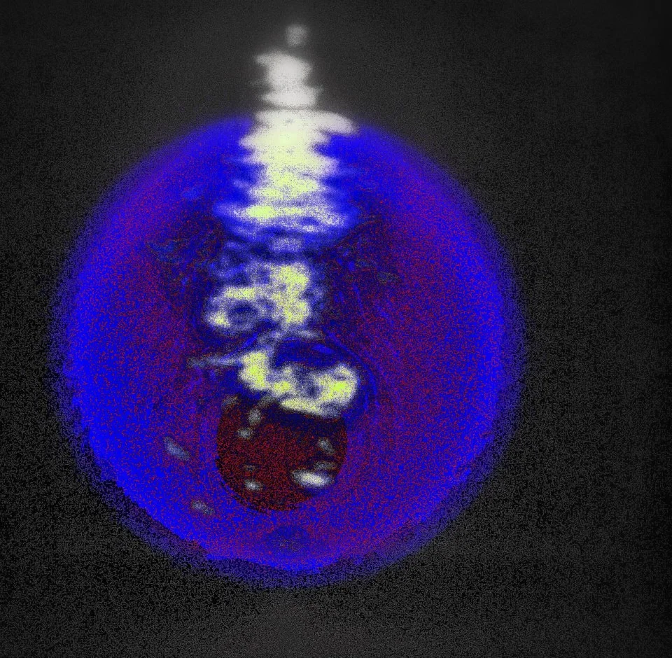 552628_4707937734519_1315473382_n.jpeg