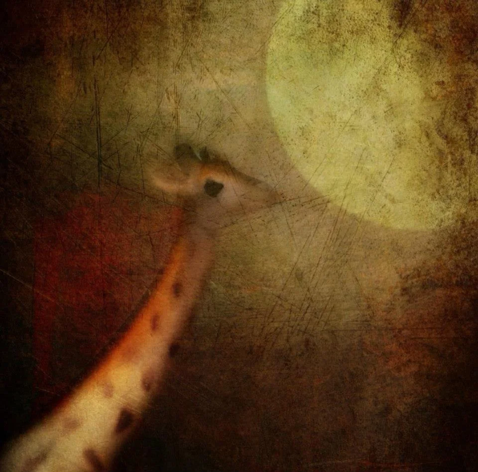 Roger Guetta