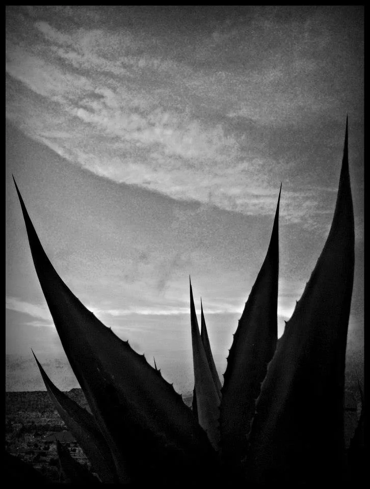 320899_501952399847855_839613888_n.jpeg