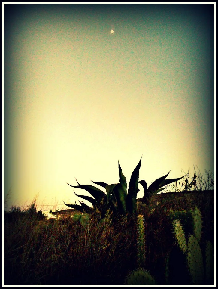 408355_501946656515096_699012143_n.jpeg