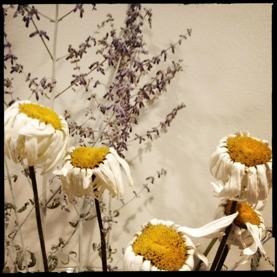 All the artworks in this gallery by Cynthia Westover - NEM Founder Artist