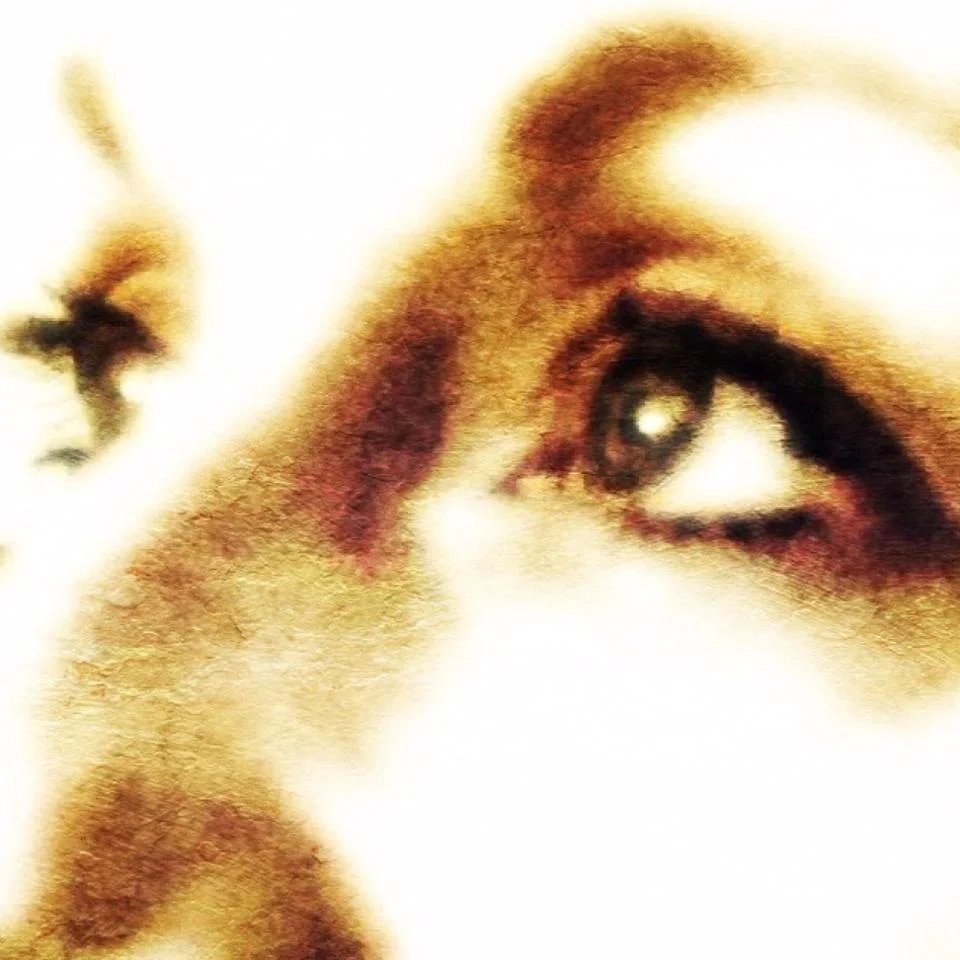 Ulla Gmeiner - NEM Founder Artist