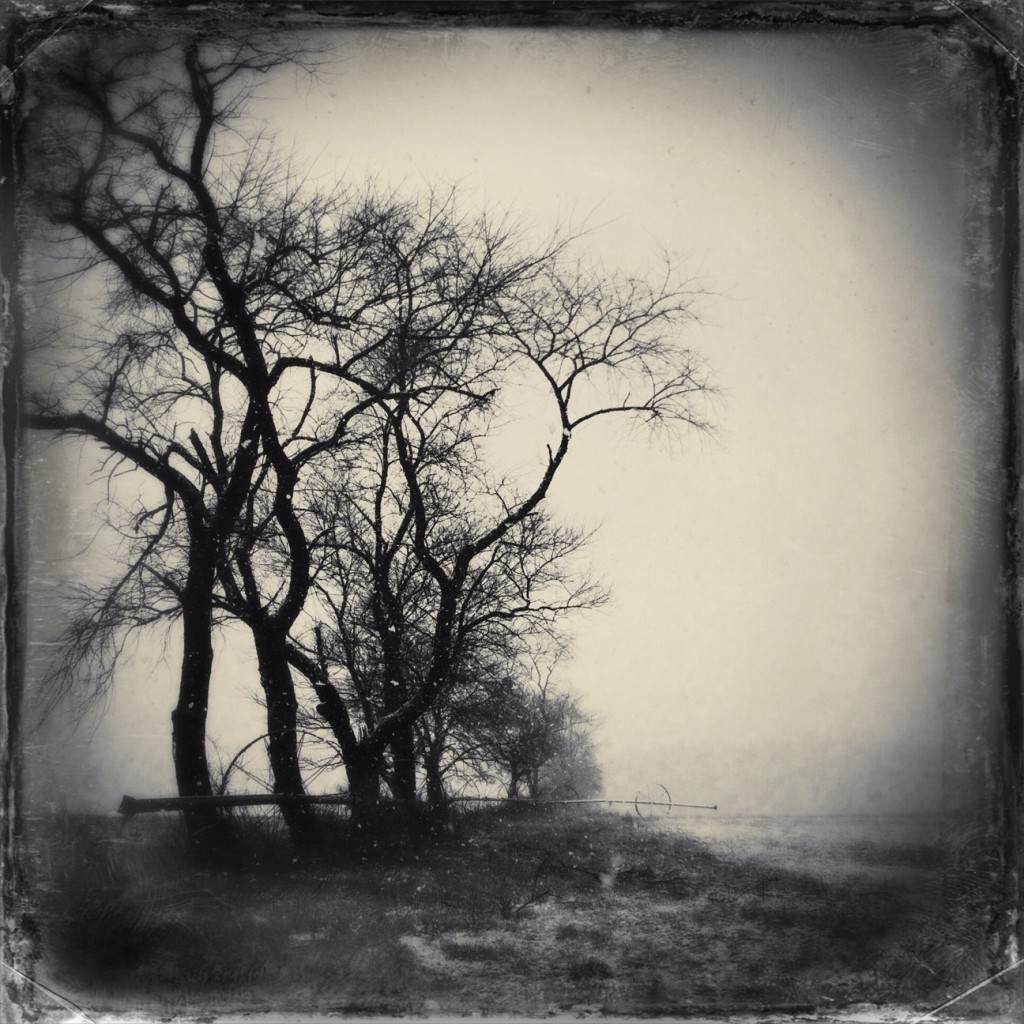 Catherine Restivo