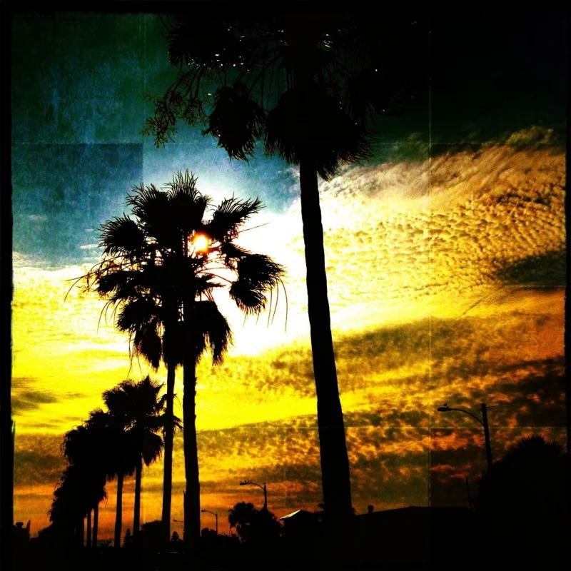 PHIL BISHOP (@IPHONEPHIL)