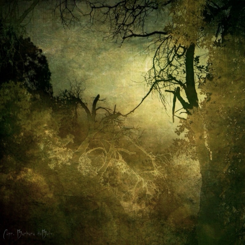 Barbara Coleman DuBois (@barbaracolemandubois)