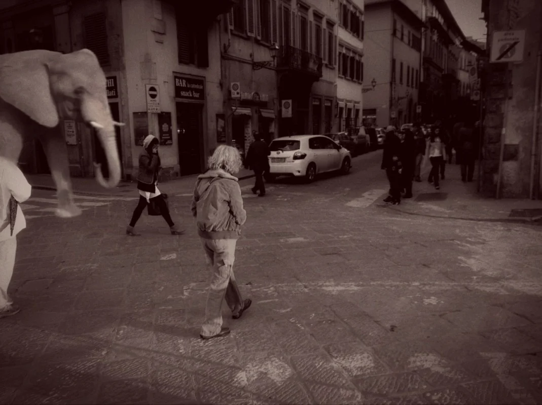Andrea Bigiarini
