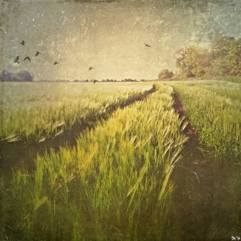 Paul Skip Brown (@skipology)