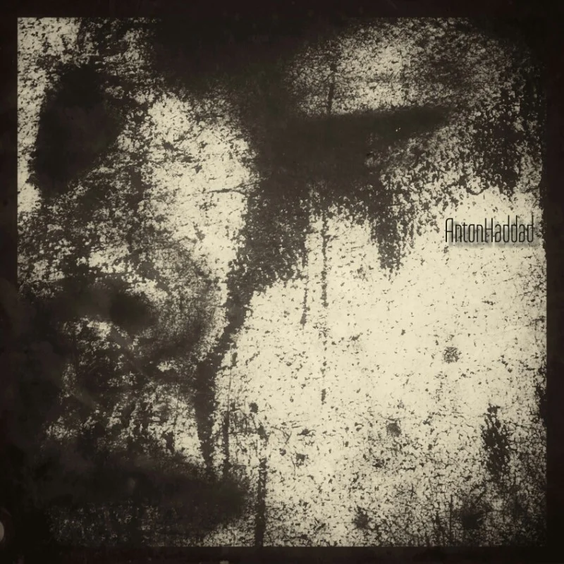 Anton Haddad