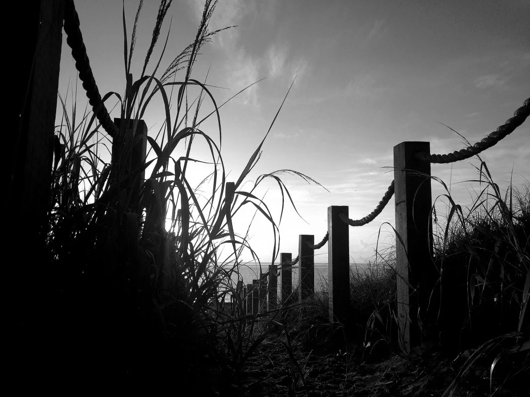 Andy Royston