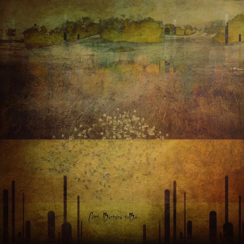 Barbara Coleman DuBois