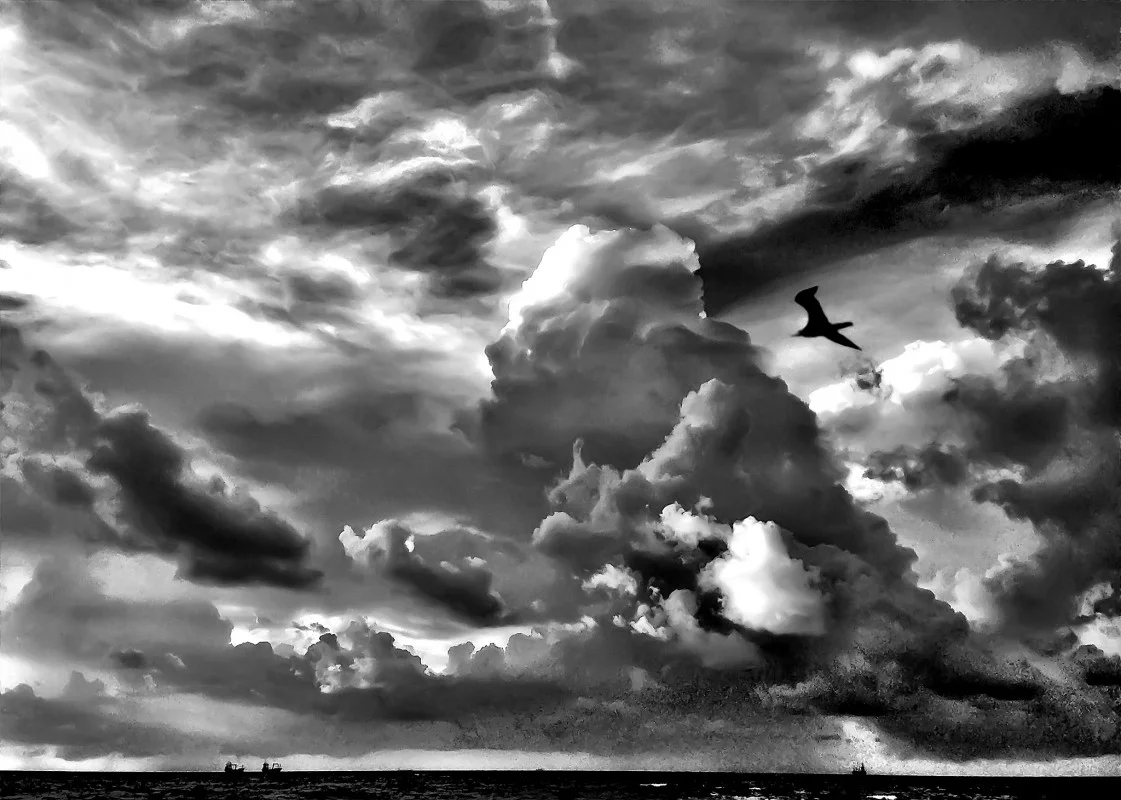 Andy Royston
