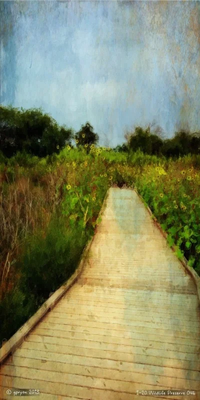 Garry Ryon